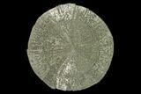 Pyrite Sun - Sparta, Illinois #137896-1